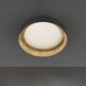 Gilt LED 22 inch Bronze Gold Leaf Indoor Ceiling Lighting