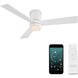 Axis 52.00 inch Indoor Ceiling Fan