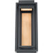 Dorne LED 18 inch Black and Aged Brass Outdoor Wall Light in 18in.