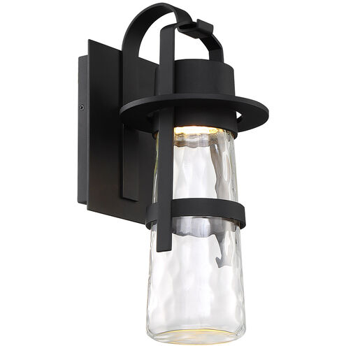 Balthus LED 16 inch Black Outdoor Wall Light in 16in.
