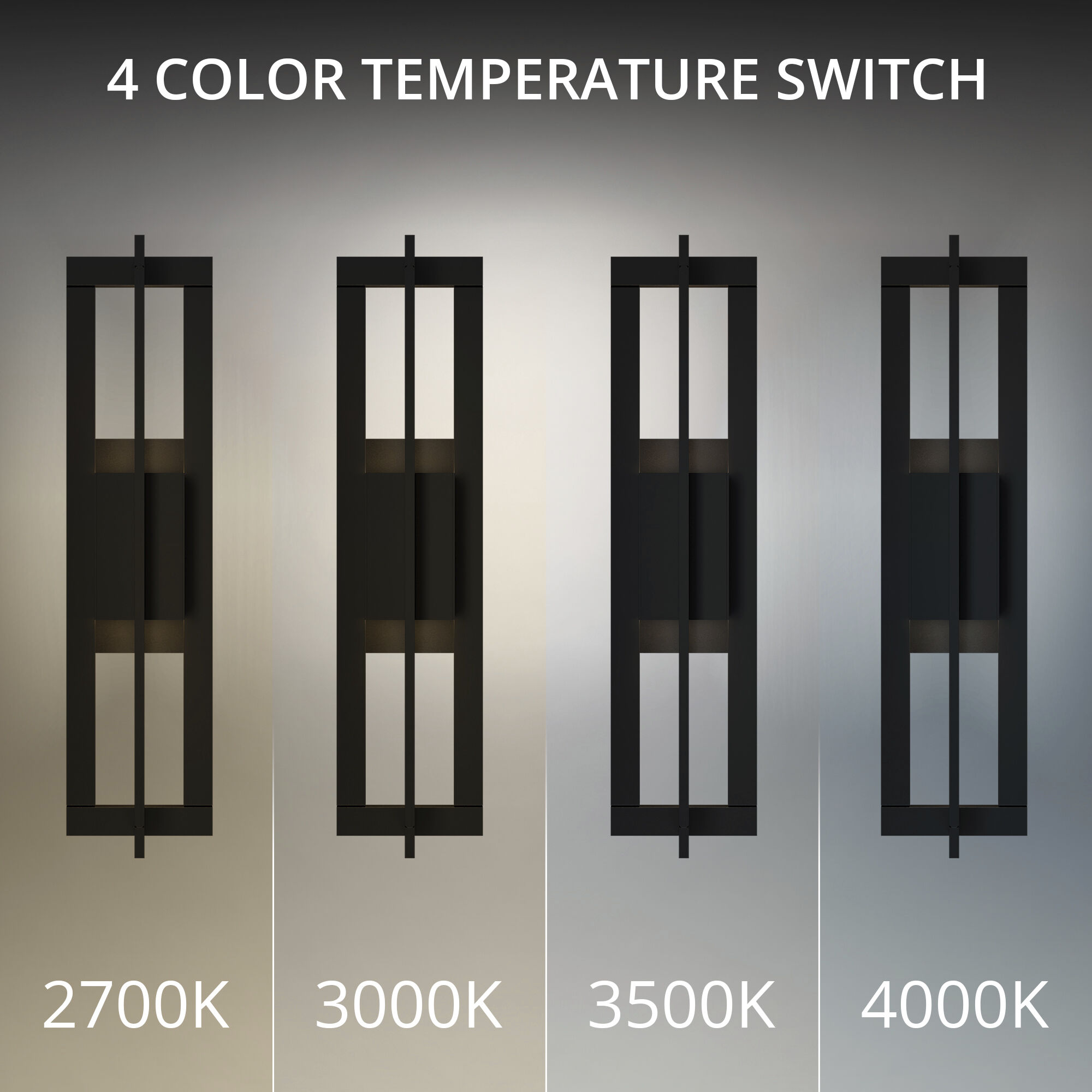 Gander LED 20 inch Black Outdoor Wall Lighting in 4000K