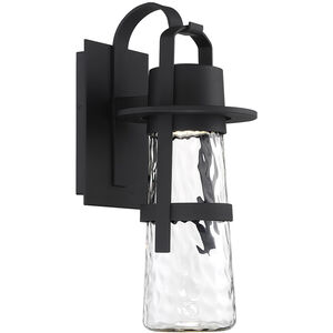 Balthus LED 21 inch Black Outdoor Wall Light in 21in.