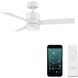 Axis 44.00 inch Indoor Ceiling Fan