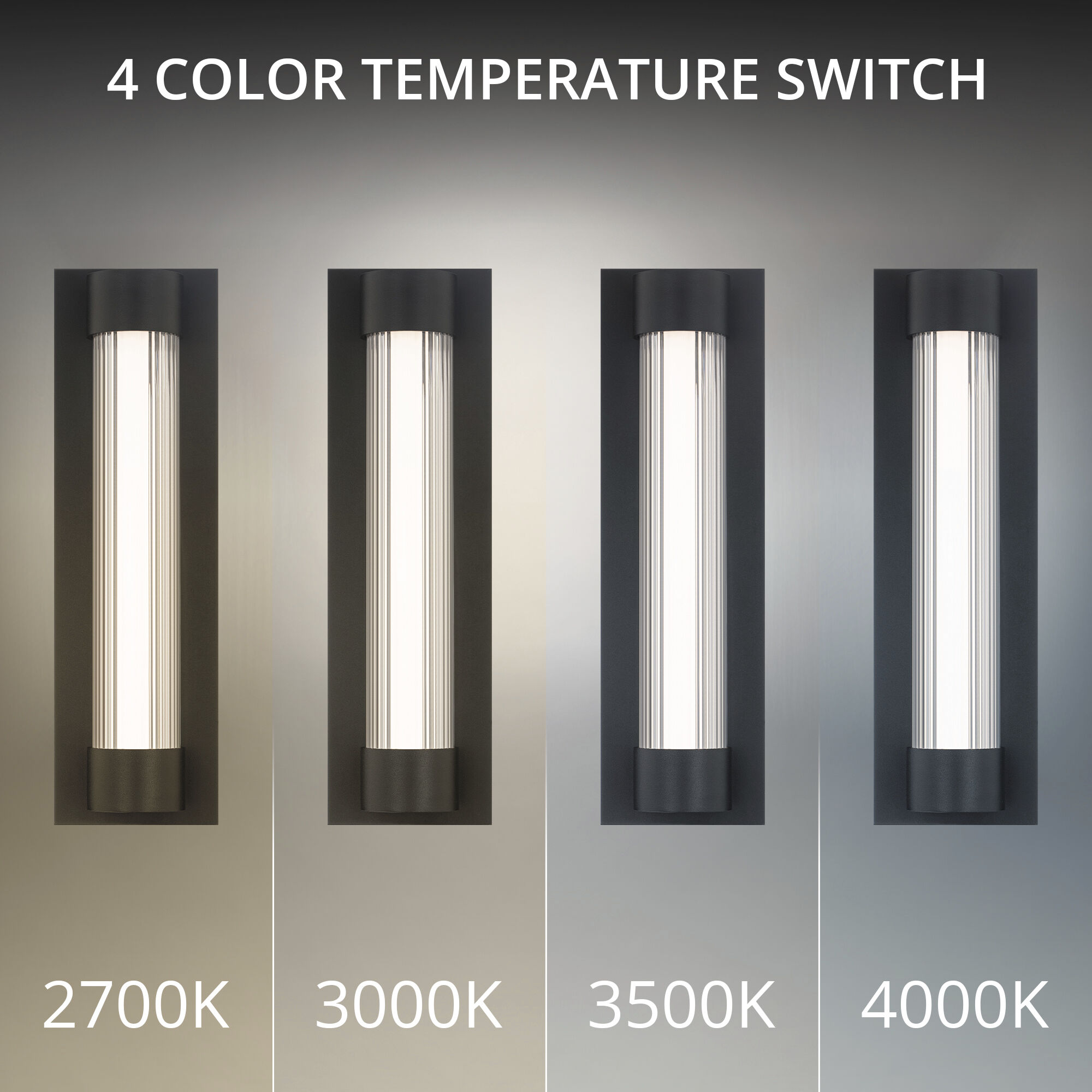 Chyzel LED 18 inch Black Outdoor Wall Lighting in 3000K