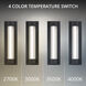 Chyzel LED 18 inch Black Outdoor Wall Lighting in 2700K