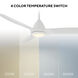 Skylark 54 inch Matte White Downrod Ceiling Fan