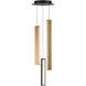 Chaos LED 11.75 inch Black and Aged Brass Multi-Light Pendant Ceiling Light in 3, 12in., Black Aged Brass/Black