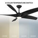 Zephyr 62 inch Matte Black Downrod Ceiling Fan