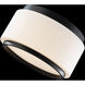 Preston LED 15.8 inch Black Indoor Ceiling Lighting in 4000K